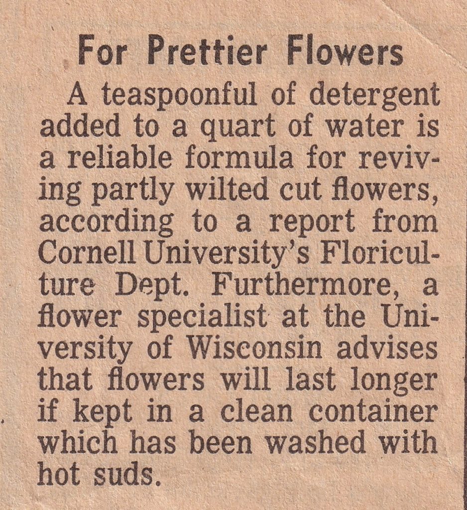 Newspaper clipping titled For Prettier Flowers with tips for reviving wilted cut flowers and keeping them fresh